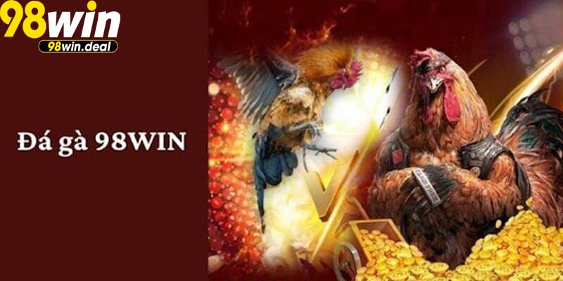 Giới thiệu về đá gà và nền tảng 98win