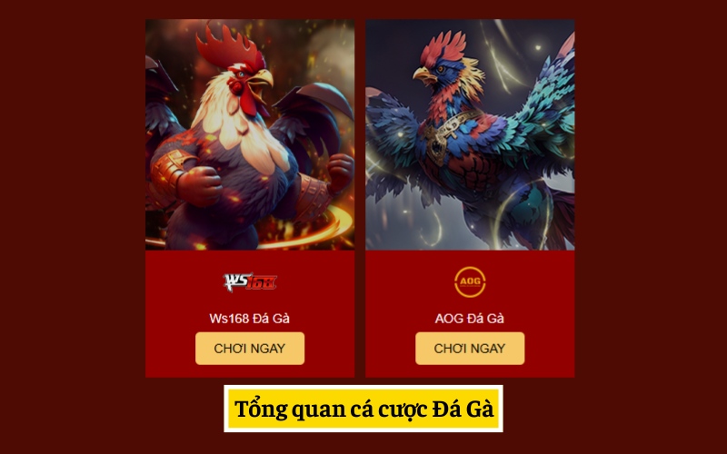 Tổng quan về cá cược chọi gà